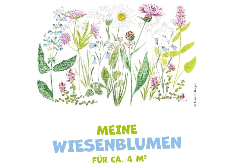 "Blühpakt"-Staudenpaket MEINE WIESENBLUMEN (für 4m²)