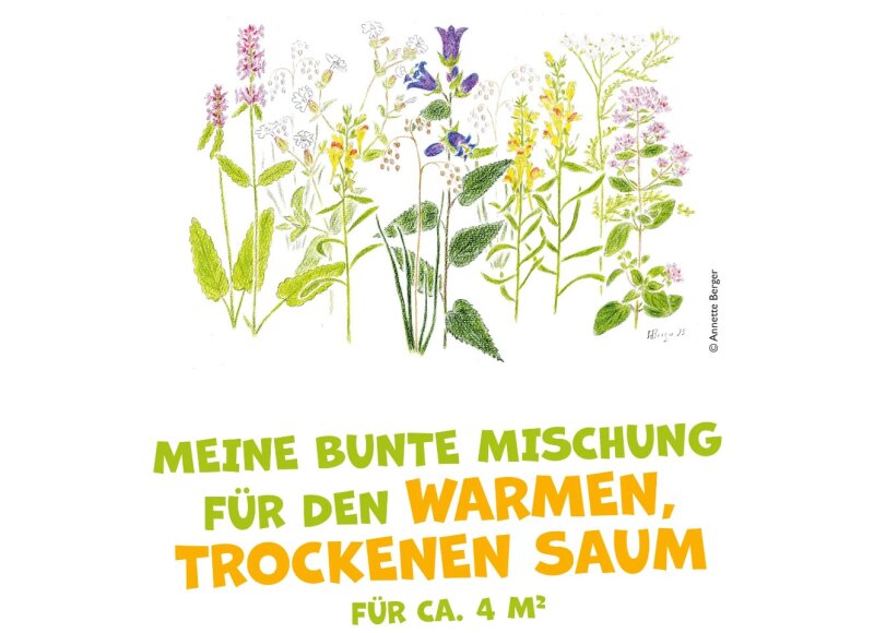 "Blühpakt"-Staudenpaket MEINE BUNTE MISCHUNG FÜR DEN WARMEN, TROCKENEN SAUM (für 4m²)