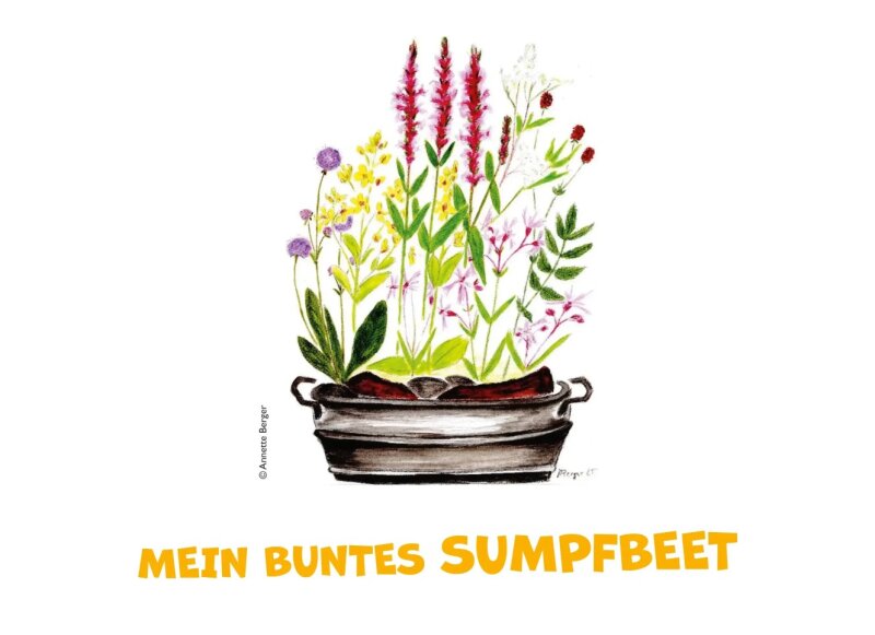 "Blühpakt"-Staudenpaket MEINE BUNTE MISCHUNG FÜR DEN TEICHRAND (4 m²)