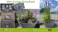 "Blühpakt"-Staudenpaket MEINE BUNTE...