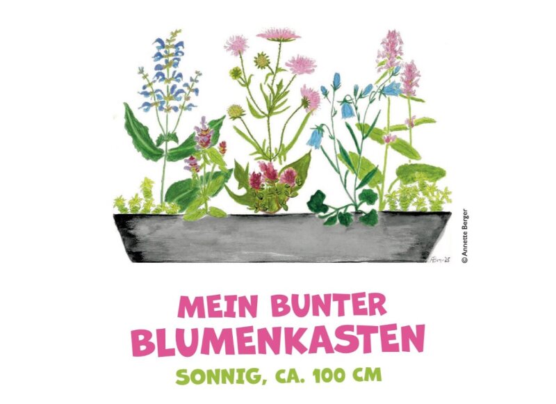 "Blühpakt"-Staudenpaket MEIN BUNTER BLUMENKASTEN (ca.80-100 cm)